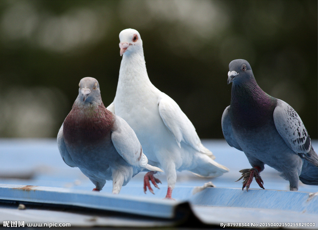 呼吸道感染问题