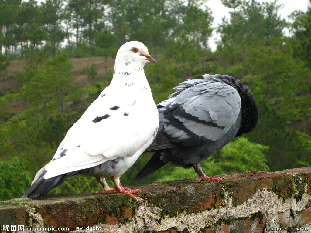 手法、心法、辩证法 
