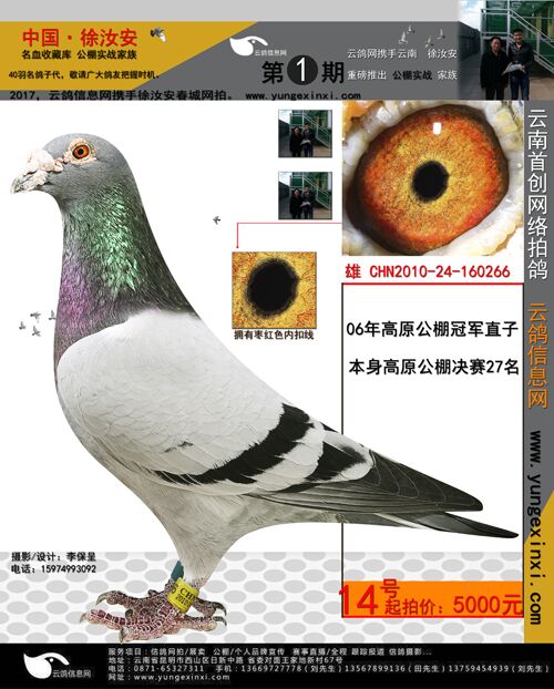 1482915302138209.jpg 266.jpg