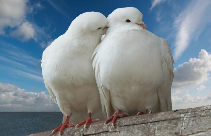 1487833811351311.jpg P@5M`95[@$090{O6~0J4DX9.jpg