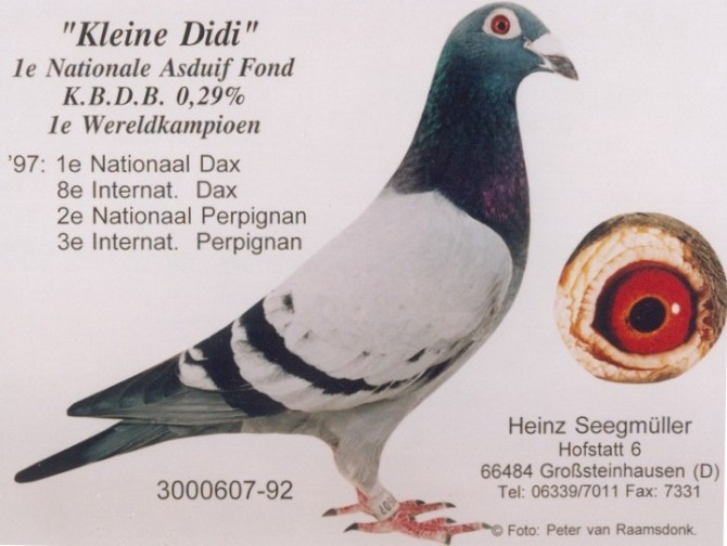 1488085335111034.jpg 1.jpg