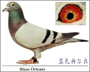 1488085384111542.jpg 30287589_2.jpg