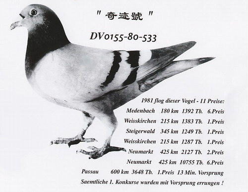 1488085506873932.jpg 30287589_5.jpg