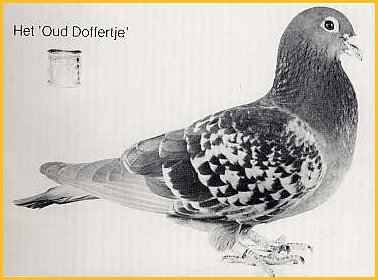 1488085553730980.jpg 30287589_7.jpg