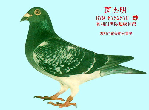 1488085601444475.jpg 30287589_9.jpg