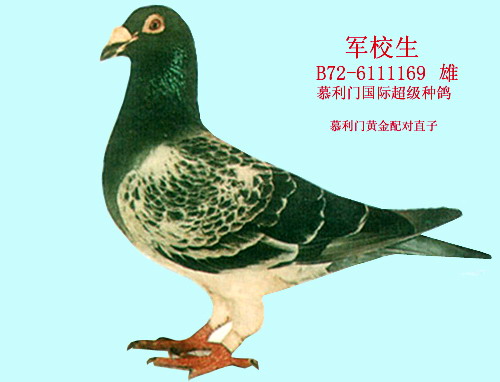 1488085677225701.jpg 30287589_10.jpg