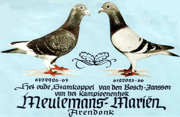 1488085687133260.jpg 30287589_11.jpg