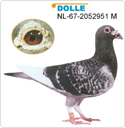 1488085793110393.jpg 30287589_14.jpg