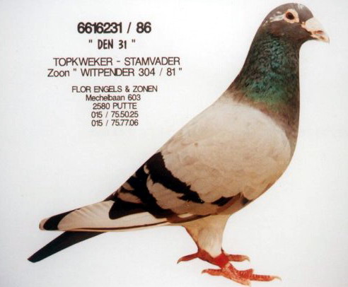 1488086004629985.jpg 30287589_16.jpg