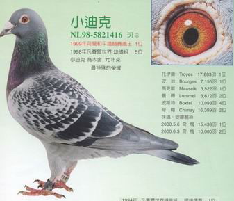 1488086081831374.jpg 30287589_20.jpg