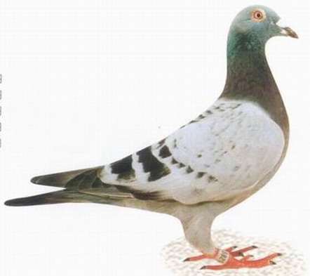 1488086235251219.jpg 30287589_24.jpg