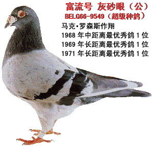 1488086258592676.jpg 30287589_25.jpg