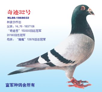 1488086412662517.jpg 30287589_32.jpg