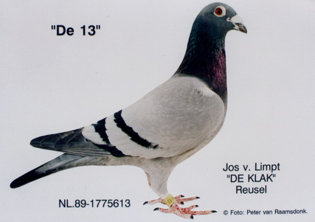 1488086451847209.jpg 30287589_33.jpg