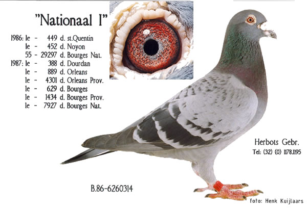 1488086514115953.jpg 30287589_35.jpg