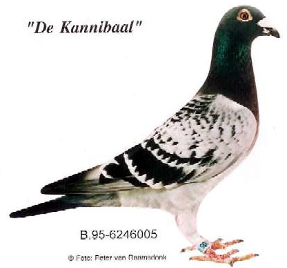 1488086548307720.jpg 30287589_36.jpg