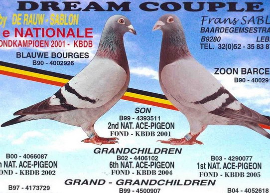 1488086606376097.jpg 30287589_37.jpg