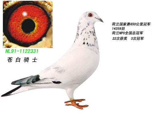 1488086634526149.jpg 30287589_38.jpg