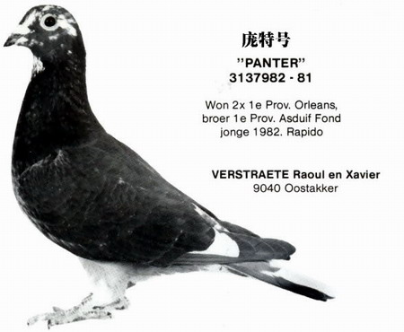 1488086664898030.jpg 30287589_39.jpg