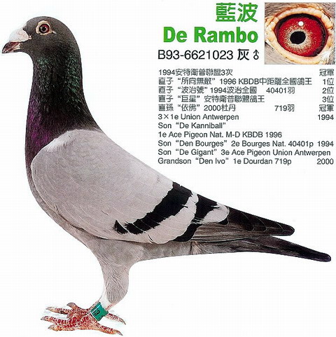 1488086685130171.jpg 30287589_40.jpg