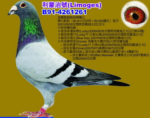 1488086738835548.jpg 30287589_41.jpg