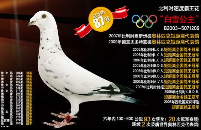 1488086765140068.jpg 30287589_42.jpg