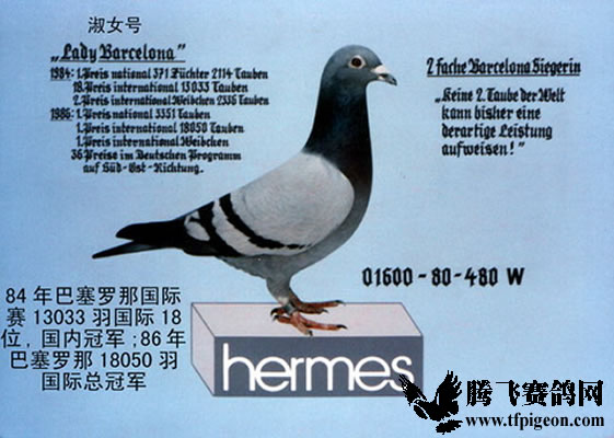 1488087078129482.jpg 30287589_45.jpg