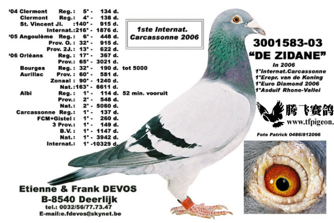 1488087101670478.jpg 30287589_46.jpg