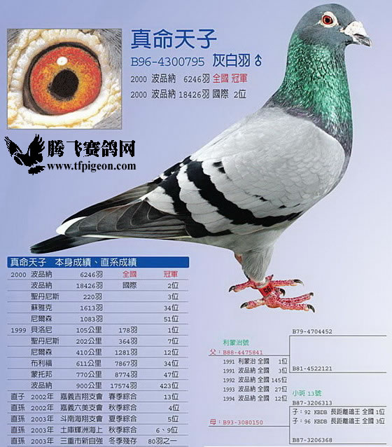 1488087139292185.jpg 30287589_47.jpg