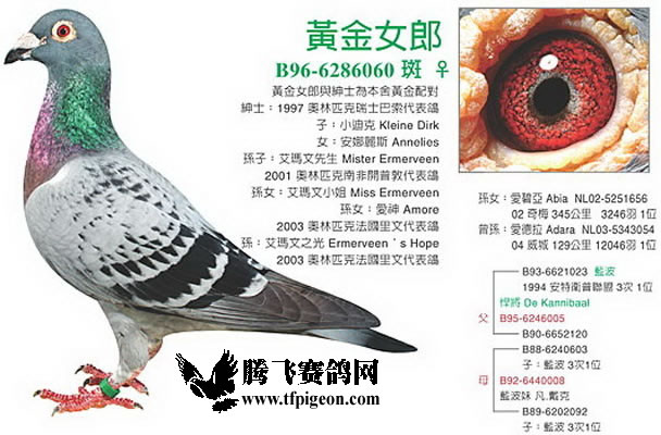 1488087194140055.jpg 30287589_48.jpg