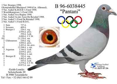 1488087245666433.jpg 30287589_49.jpg