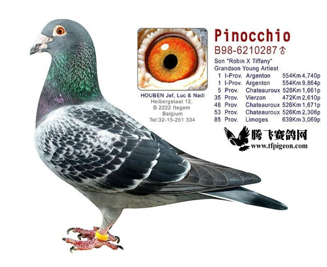 1488087299547235.jpg 30287589_50.jpg