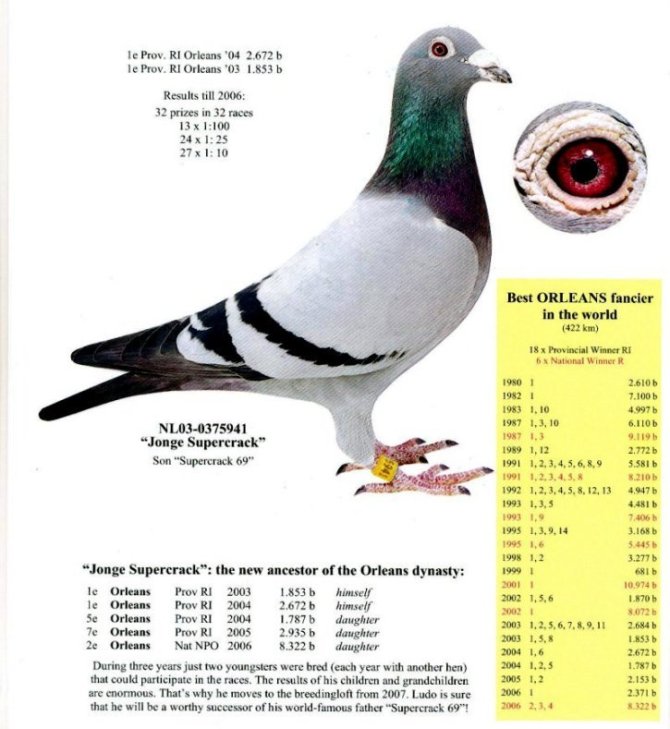 1488087353843638.jpg 30287589_51.jpg