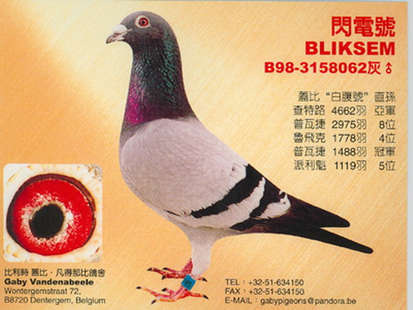 1488087385886024.jpg 30287589_52.jpg