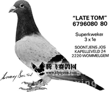 1488087403718329.jpg 30287589_53.jpg