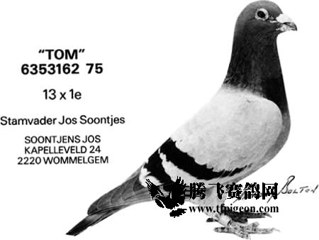 1488087429948721.jpg 30287589_54.jpg