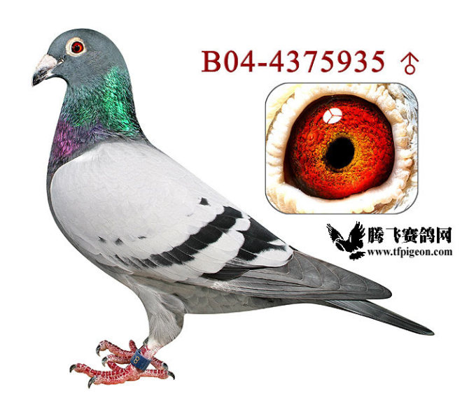 1488087449138893.jpg 30287589_55.jpg