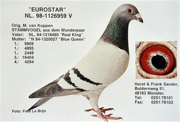 1488087494513455.jpg 30287589_57.jpg