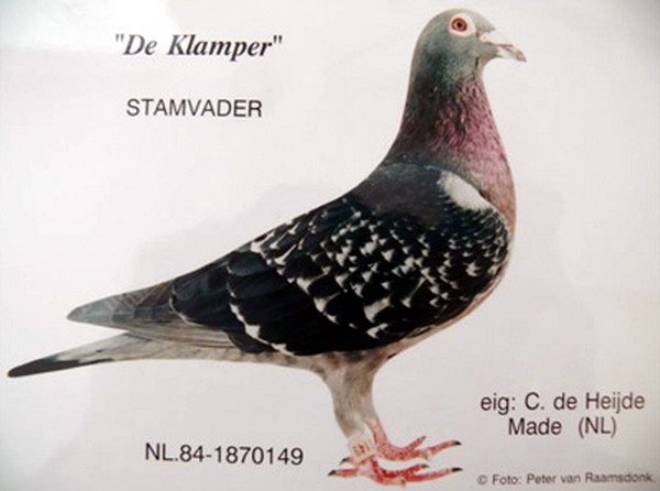 1488087519113724.jpg 30287589_58.jpg