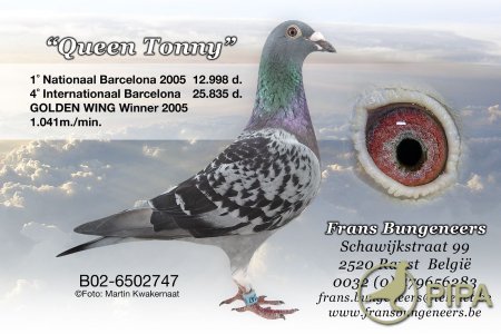 1488087543694748.jpg 30287589_59.jpg