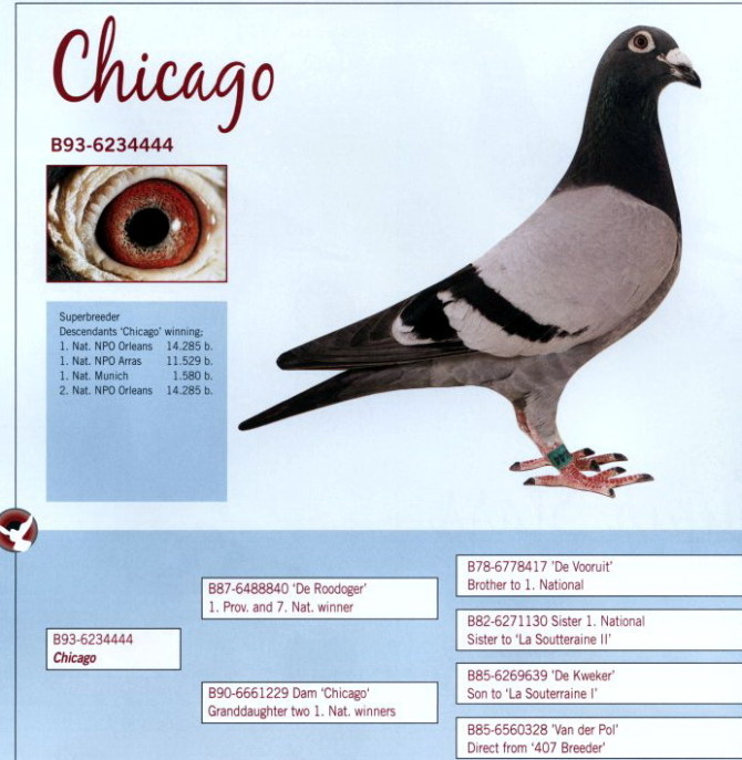 1488087562100134.jpg 30287589_60.jpg