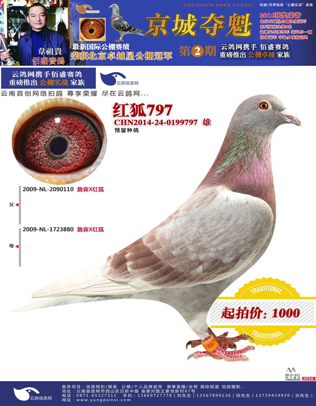 1488179641696555.jpg 4.jpg