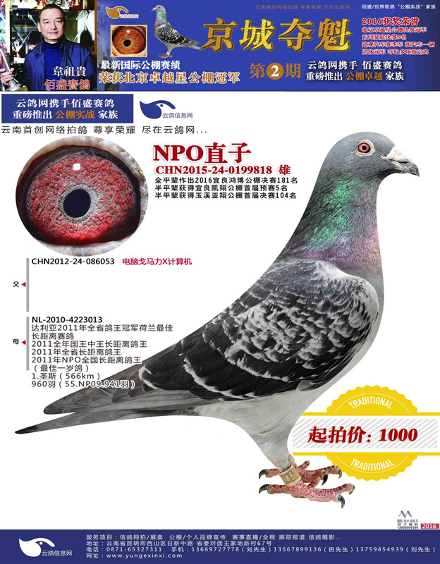 1488179656978542.jpg 5.jpg