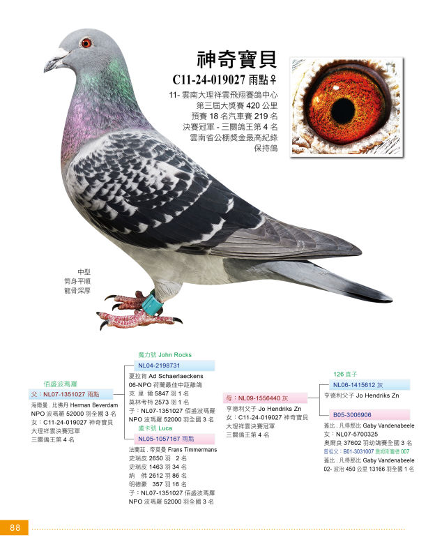 1488703687797292.jpg 22222.JPG