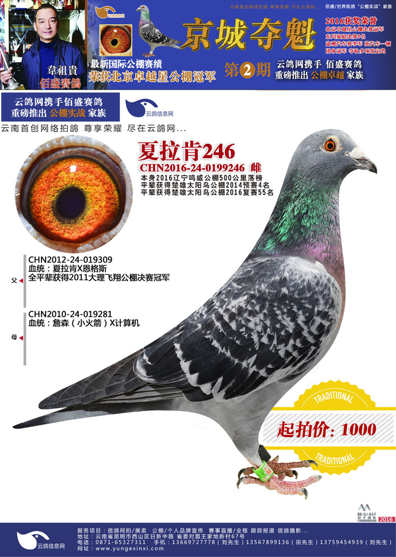 1488705108860334.jpg 246.jpg