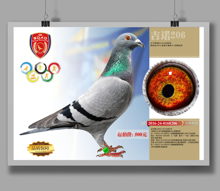 1490065802743072.jpg 206.jpg