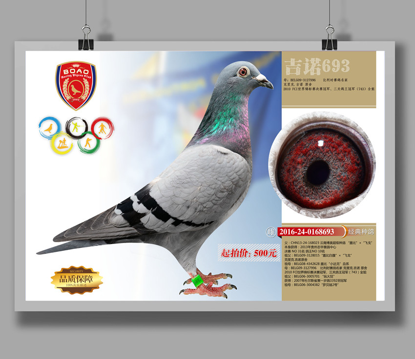 1490068503648230.jpg 693.jpg