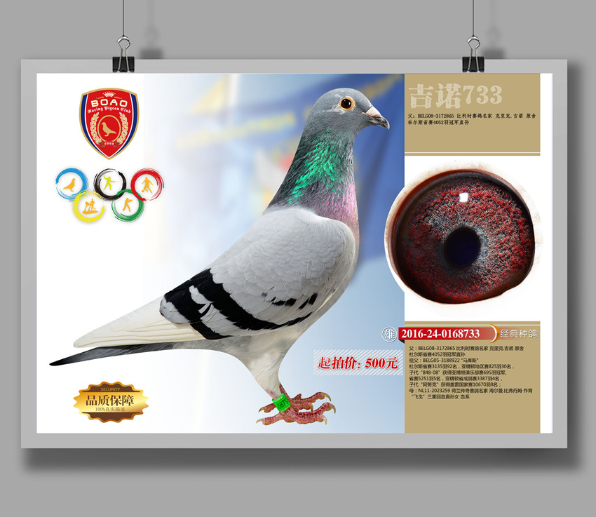 1490068705262192.jpg 733.jpg