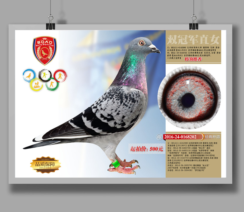 1490086653774744.jpg 202.jpg