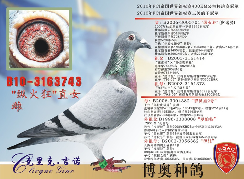 1490177866920880.jpg 743_副本.jpg